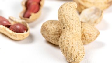 FYI, Peanuts Aren't Even Nuts, And THIS Is How They Really Grow