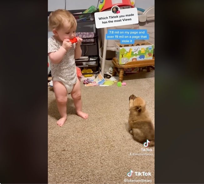 あまりの可愛さに世界がメロメロ 赤ちゃんと子犬の夢のセッションがこれだ 動画 ハフポスト World あまりの可愛さに世界がメロメロ 赤ちゃんと子犬の夢のセッションがこれだ 動画 ハフポスト World