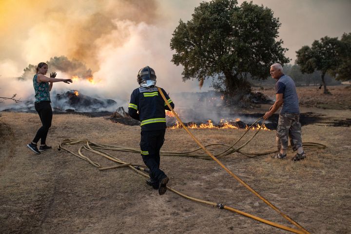 Los bomberos y vecinos luchan contra las llamas en Zamora.