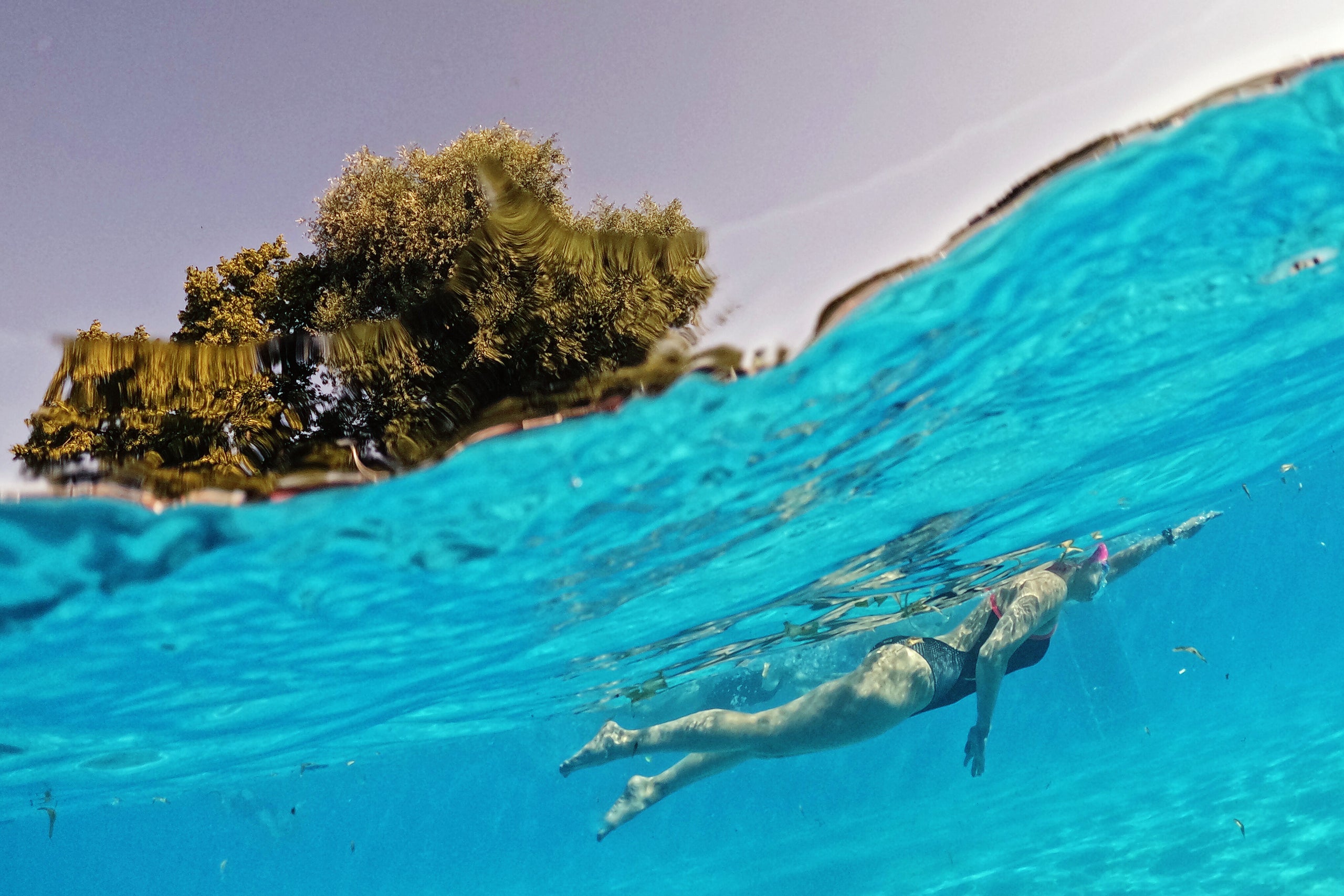 Striking Photos Show Europe Trying To Cope With Brutal Heat Wave ...