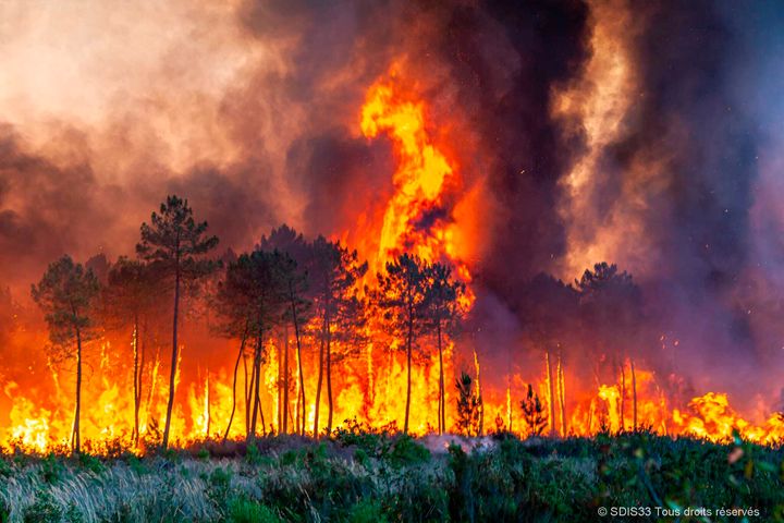 This photo provided by the fire brigade of the Gironde region (SDIS 33) shows a wildfire near Landiras, southwestern France, Sunday July 17, 2022 . Firefighters battled wildfires raging out of control in France and Spain on Sunday as Europe wilted under an unusually extreme heat wave that authorities in Madrid blamed for hundreds of deaths. (SDIS 33 via AP)