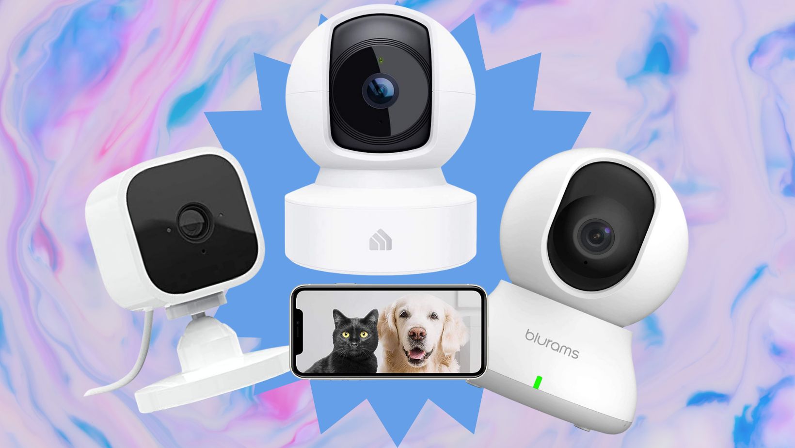 Best Pet Cameras of 2024 | SafeWise