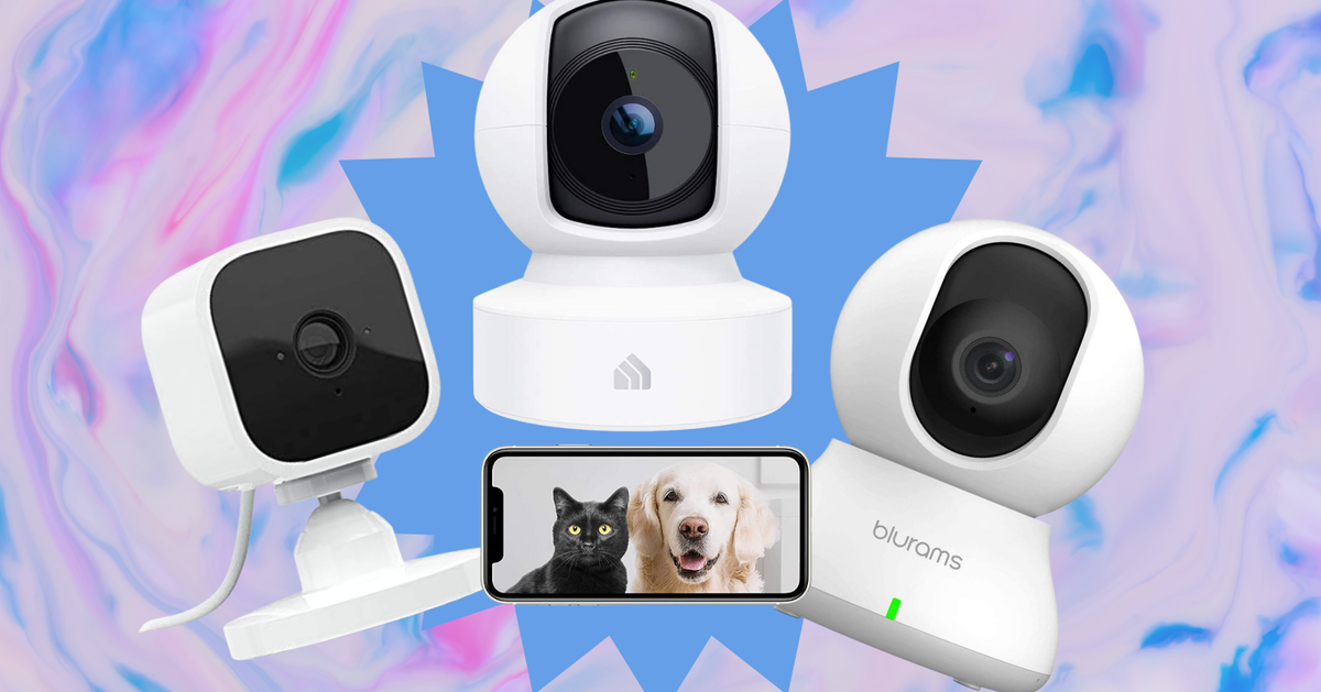 Doggy camera best sale amazon
