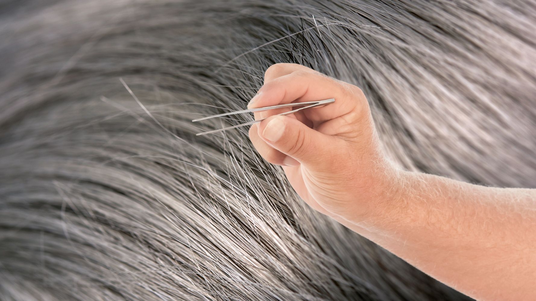Why You Should Never Pluck Gray Hairs (It's Not For The Reason You Think) |  HuffPost Life