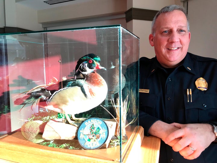 Bangor police Lt. Tim Cotton, the detective who made the stuffed wood duck a social media star, has retired after 30 years.