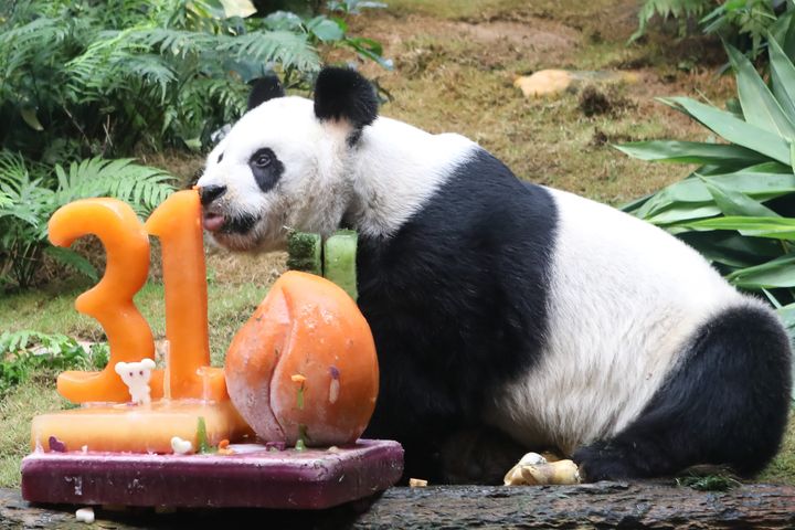 An An enjoys his cake on his 31st birthday on August 1, 2017 in Hong Kong, China.