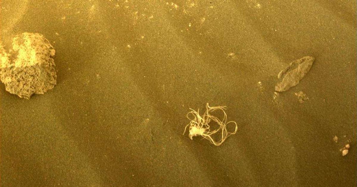 Photo of ¿Espagueti, cordel?  Esta foto de la NASA en Marte intriga