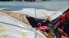  Israeli Man Dies After Sinkhole Opens Up Under Swimming Pool During Office Party