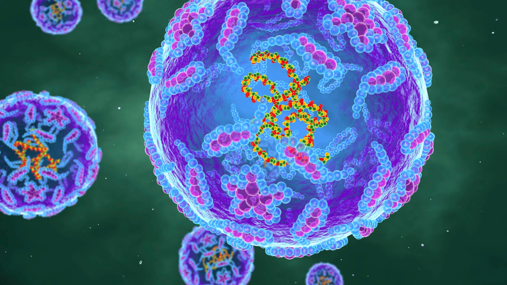 Worried About Polio? Here’s What Experts Want You To Know. Worried About Polio? Here’s What Experts Want You To Know.