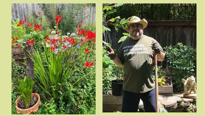 Left: The crocosmia Lucifer in my father's garden is a favorite plant among hummingbirds. Right: My father in his natural habitat and favorite T-shirt.