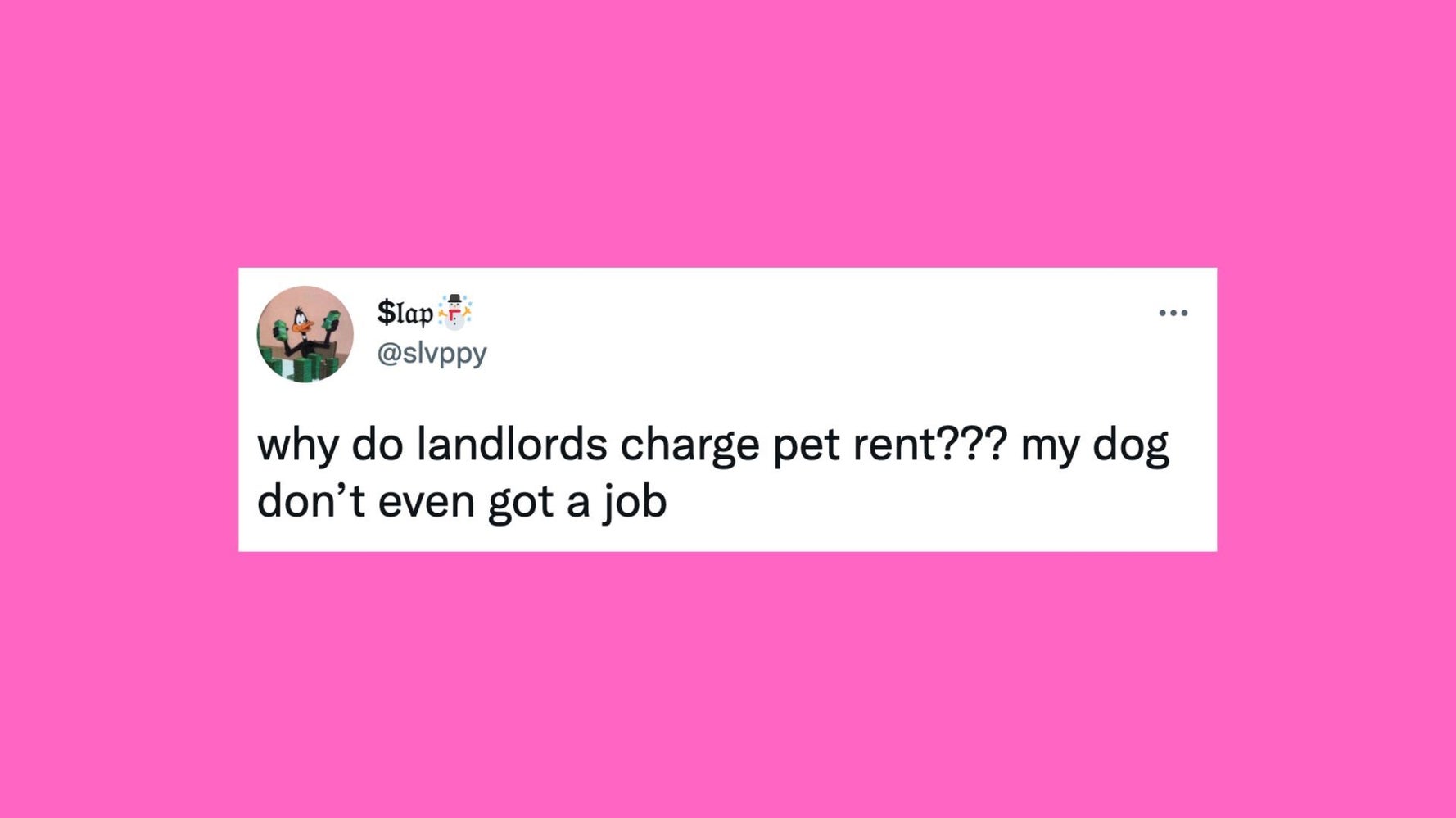 23 Of The Funniest Tweets About Cats And Dogs This Week - Vimarsana News