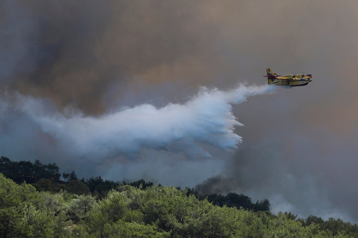 Στο σημείο υπάρχει πυκνή βλάστηση, κυρίως πεύκα.