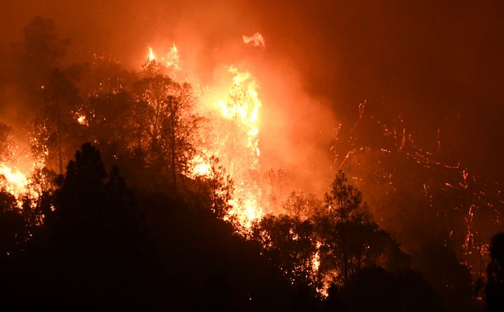 Tree canopies erupt into flame on a mountain side as a wildfire called the Oak Fire burns east of Midpines in Mariposa County, Calif., Friday, July 22, 2022.