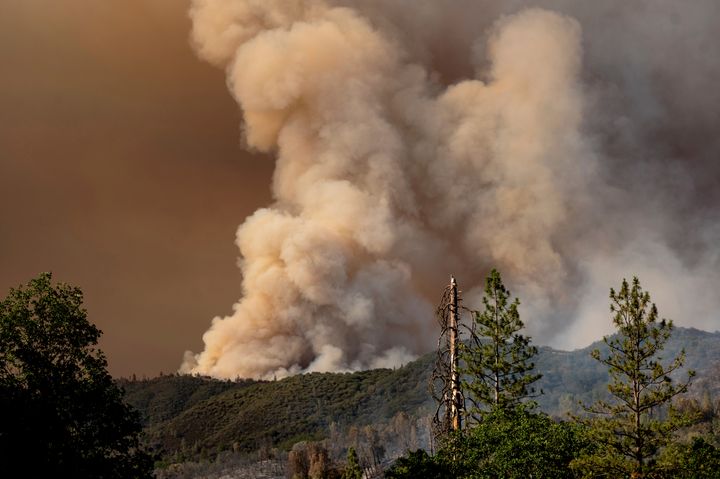The Oak Fire burns near the Jerseydale community of Mariposa County, Calif., on Saturday, July 23, 2022. (AP Photo/Noah Berger)