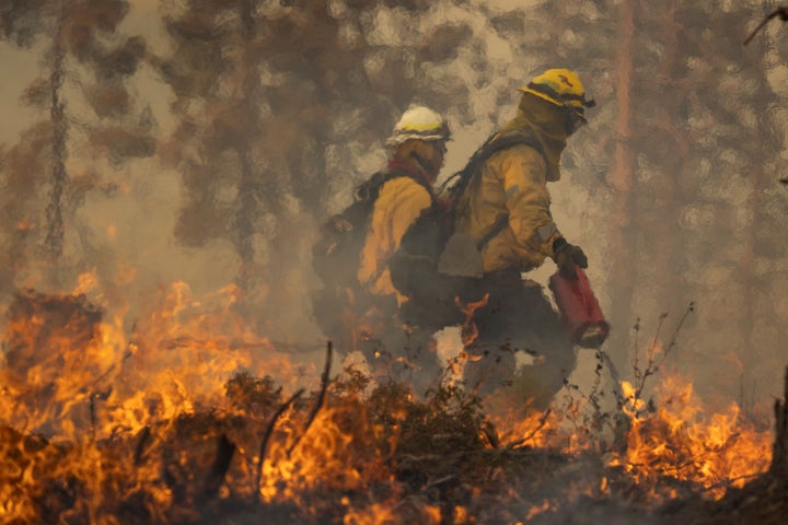 A firefighter uses a drip torch to light a backfire at the Oak Fire near Mariposa, California, on July 24, 2022.