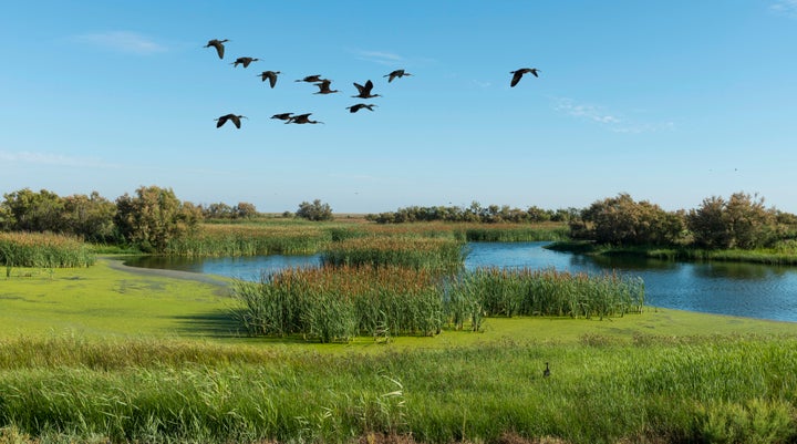 Parque Nacional de Doñana, Cádiz.