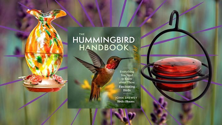 Give the hummingbirds in your area a safe landing with a hand-blown glass feeder, an ecological guide on hummingbirds and a disk-shaped feeder with space for perching.