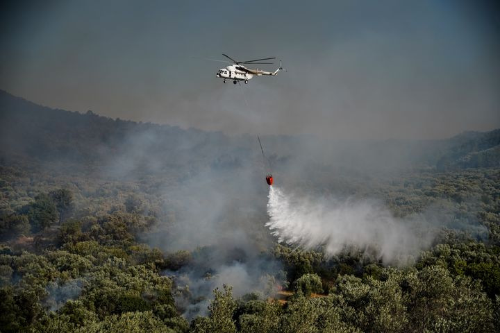 Αναζοπύρωση στη πυρκαγιά της Λέσβου. Περιοχή Βρίσα -Πολιχνίτος Τετάρτη 27 Ιουλίου 2022 (ΠΑΝΑΓΙΩΤΗΣ ΜΠΑΛΑΣΚΑΣ/EUROKINISSI)