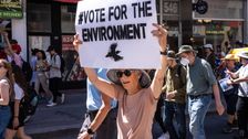 ‘Dormant’ Climate Voters Could Swing Elections In Key States, New Poll Suggests