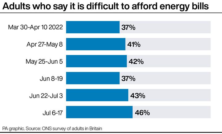 Adults who say it is difficult to afford energy bills.