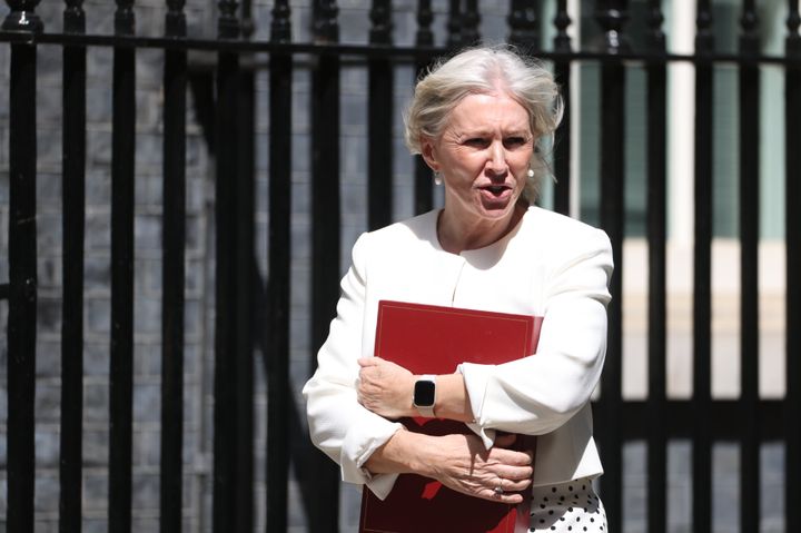 Nadine Dorries arrives for a cabinet meeting at 10 Downing Street.