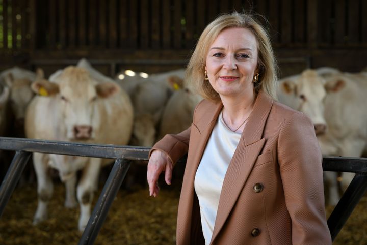 British Foreign Secretary and Conservative leadership candidate Liz Truss during her visit to Twelve Oaks Farm, on August 01, 2022 in Newton Abbot.