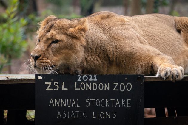 ZSL London Zoo