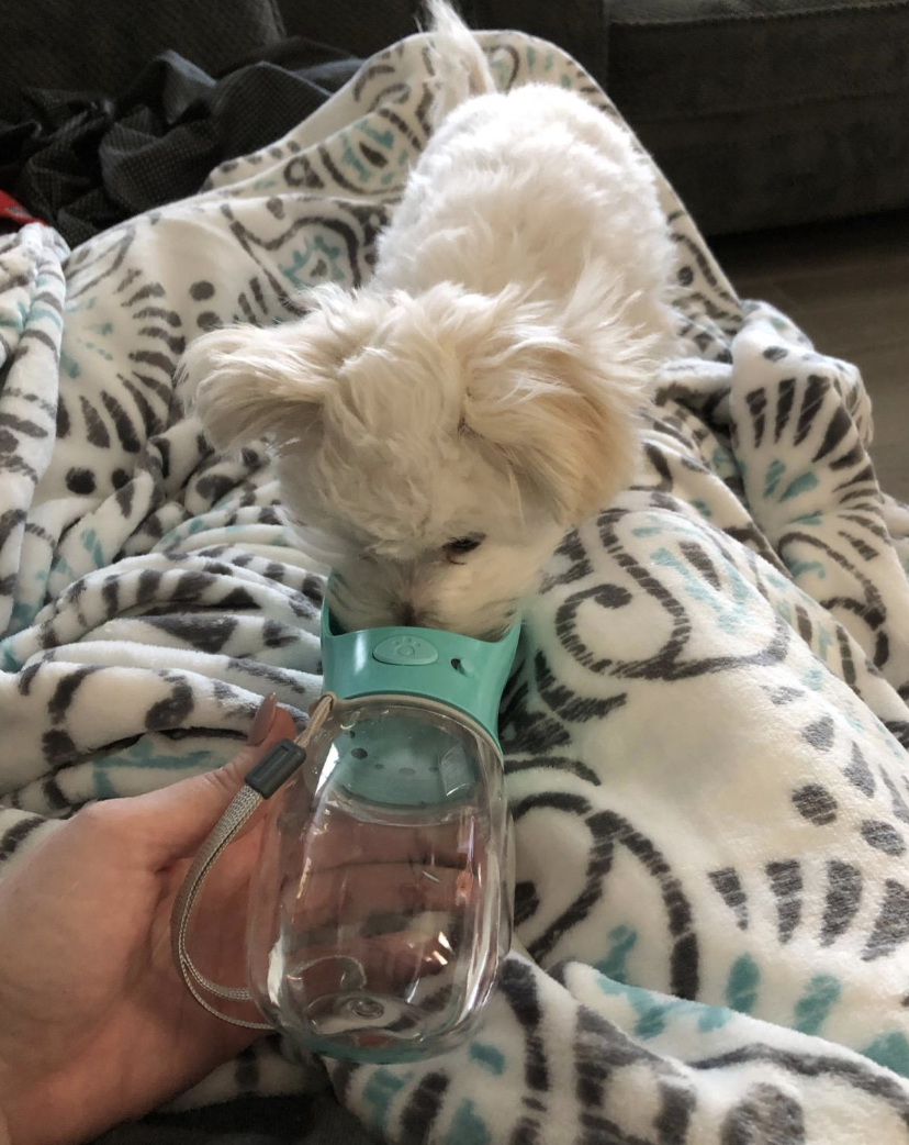 30 Hyped-Up Products From TikTok That'll Make People Ask, 'Where Did You Get That?' 17 62e99f552400003400341163