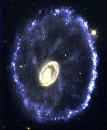 Located 500 million light-years away in the constellation Sculptor, the galaxy looks like a wagon wheel. The galaxy's nucleus is the bright object in the center of the image; the spoke-like structures are wisps of material connecting the nucleus to the outer ring of young stars. The galaxy's unusual configuration was created by a nearly head-on collision with a smaller galaxy about 200 million years ago.