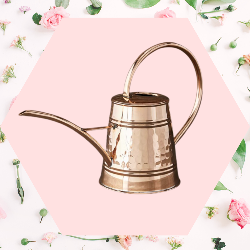 Williams Sonoma tall copper watering can