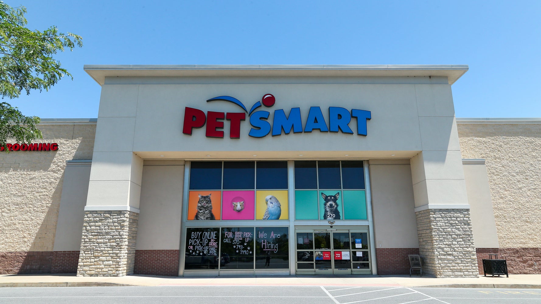 Une toiletteuse PetSmart a quitté son emploi.  Ils lui ont facturé des milliers de dollars pour la formation.