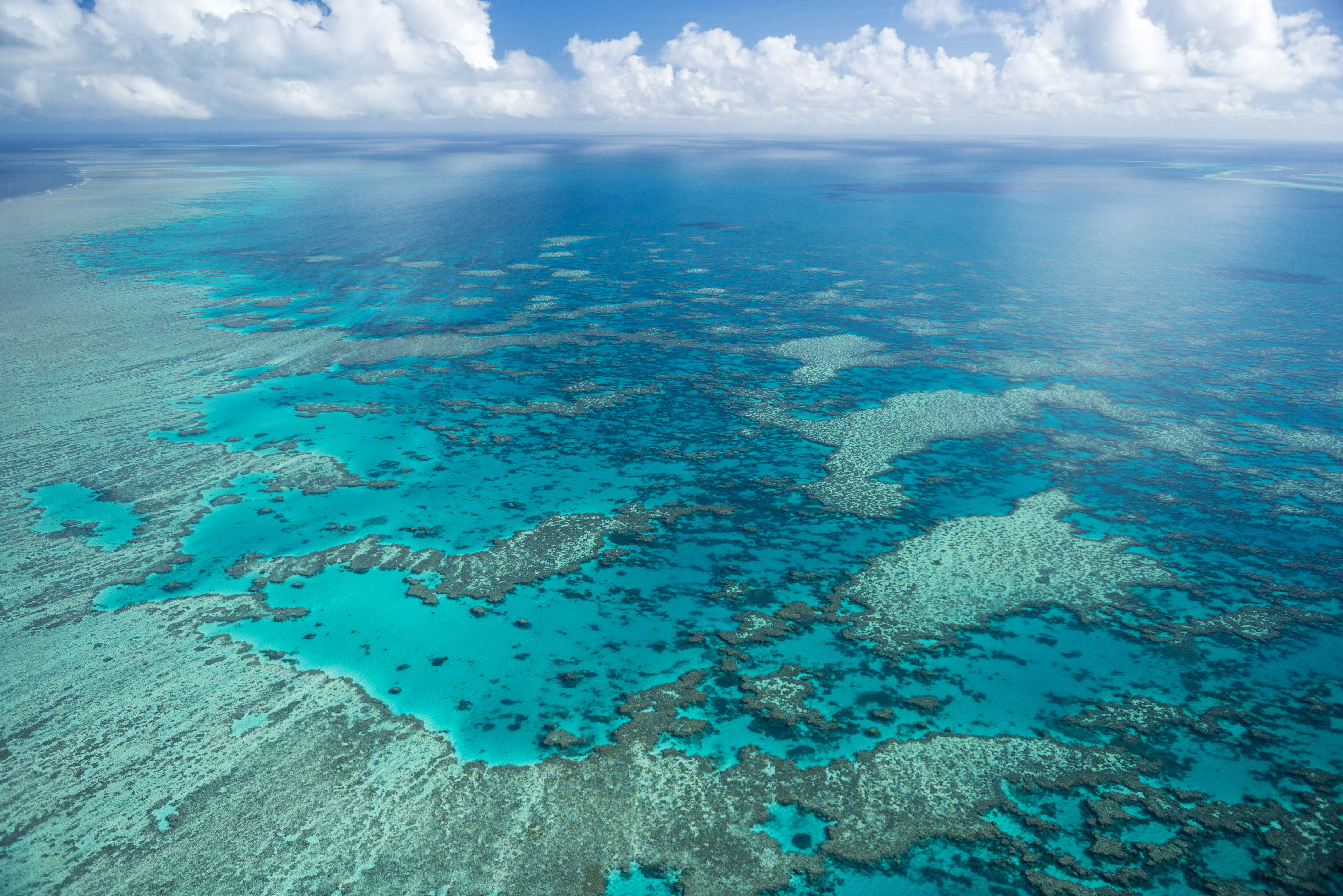 Большой Барьерный риф. Большой Барьерный риф ЮНЕСКО. Great Barrier Reef Marine Park. Большой Барьерный риф с космоса.