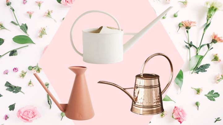 From left to right: Design Within Reach watering can, Pottery Barn watering can, Williams Sonoma copper watering can.