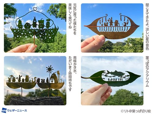 8月8日は葉っぱの日🍃夏空に映える「葉っぱ切り絵」の作り方とは？ | ハフポスト NEWS