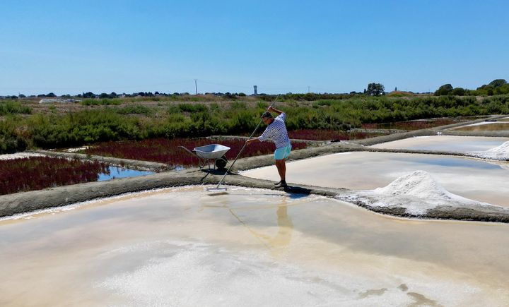 Ο Γάλλος παρασκευαστής αλατιού Φρανσουά Ντιράν συλλέγει θαλασσινό αλάτι από μια αλυκή στο Le Pouliguen, στη δυτική Γαλλία, 5 Αυγούστου 2022.