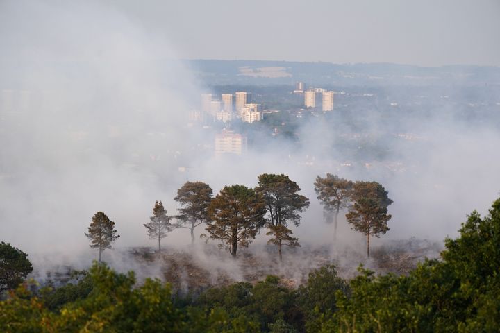 A large wildfire in woodland at Lickey Hills Country Park on the edge of Birmingham in July.