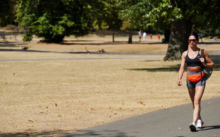 A visitor to London's Regents Park walks past a portion of parched parkland.