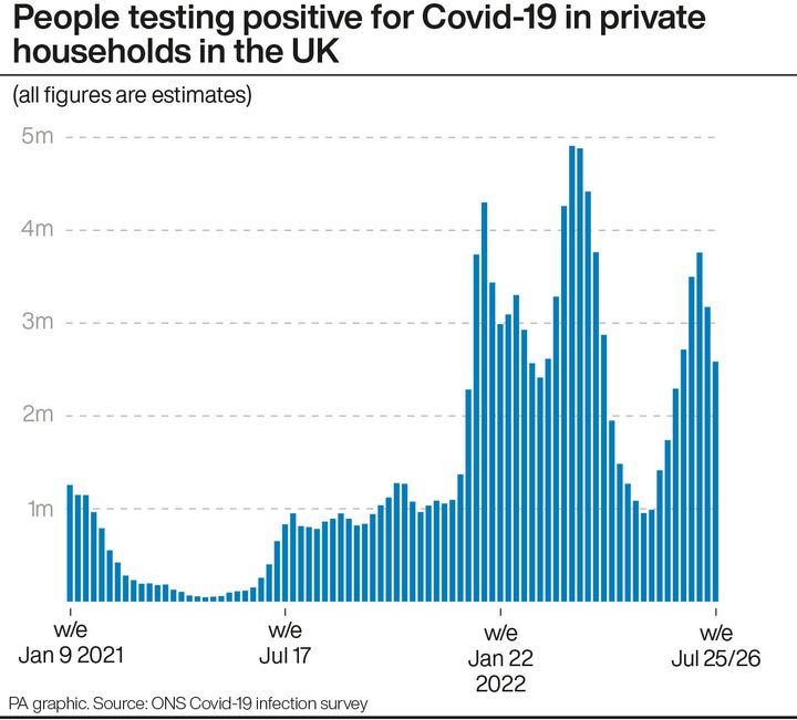 People testing positive for Covid-19 in private households in the UK