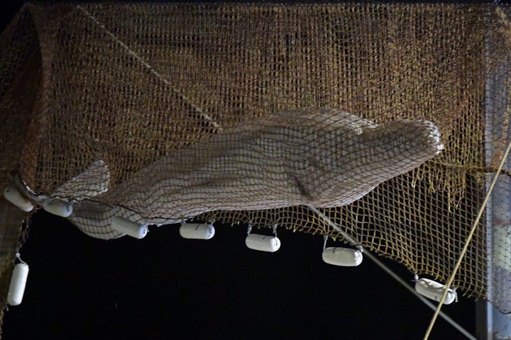 Rescuers pull up a net as they rescue a beluga whale stranded in the River Seine at Notre Dame de la-Garenne, northern France, on Aug. 9, 2022.
