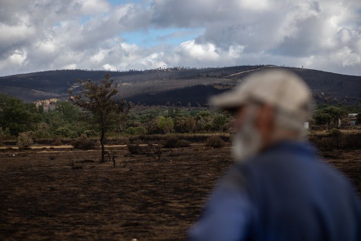 Un hombre mira al terreno arrasado por las llamas en Zamora.