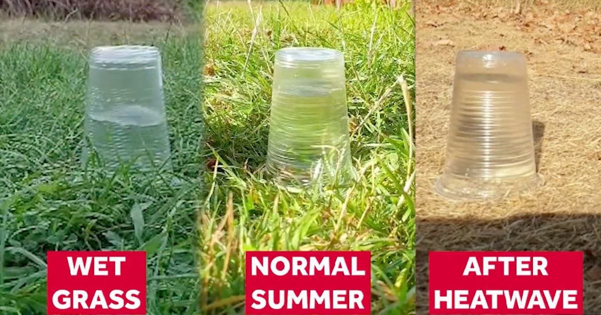 This Fascinating Video Shows Why Flash Floods Are So Bad After A Heatwave