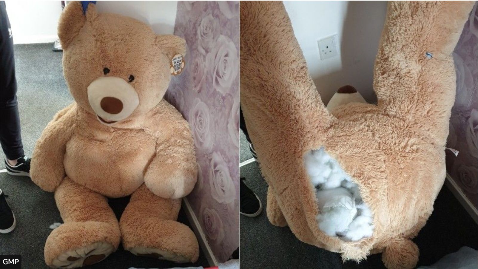 The giant teddy bear the car thief hid inside