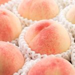 好みの桃が一目でわかる「桃チャート」がこれだ。硬め・柔らかめ、甘さ濃厚・さっぱり、どちらが好き？
