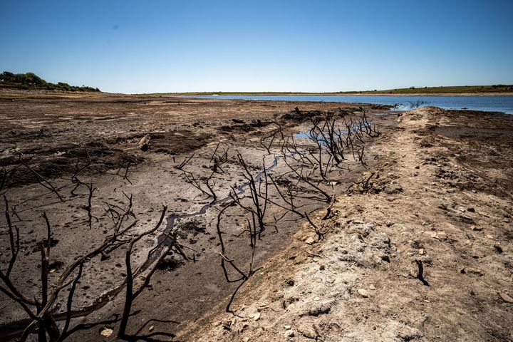 Dried mud and old trees at Colliford Lake, where water levels have severely dropped exposing the unseen trees and rocks at Cornwall's largest lake and reservoir, covering more than 900 acres of Bodmin Moor, Cornwall.