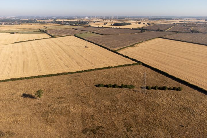 <strong>Parched fields and meadows in Finedon, Northamptonshire.</strong>
