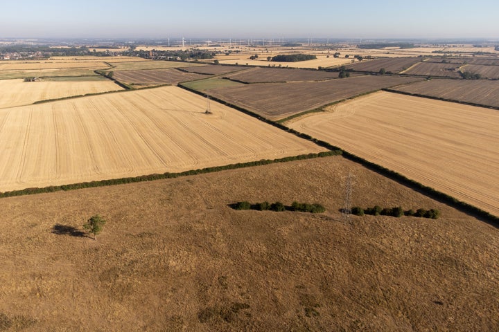 Parched fields and meadows in Finedon, Northamptonshire.