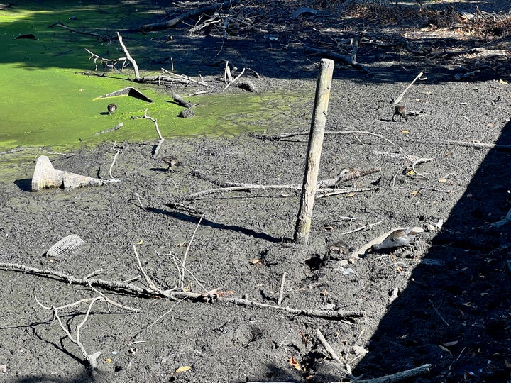 A dried out pond in Churchill Gardens, Bromley, east London.