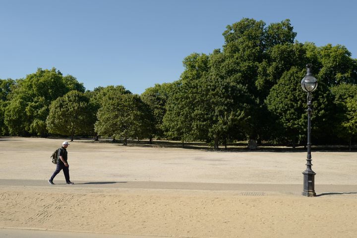 A man walks beside parched grass in Hyde Park beside the Serpentine.