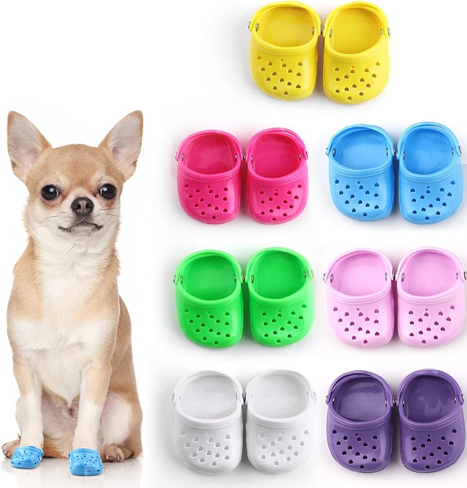 For smaller dogs and puppies