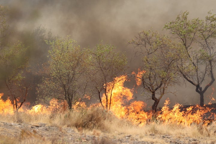Uno de los focos del incendio de Añón de Moncayo.